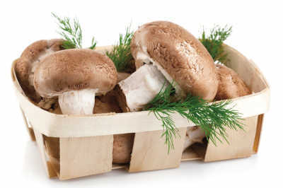 多吃香菇有效保护心血管.